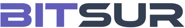Bitsur