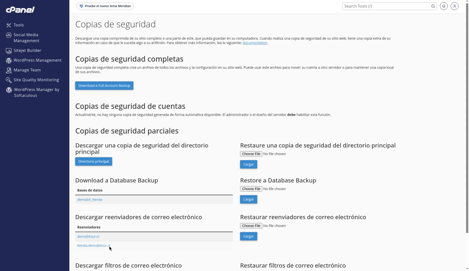 Copias de seguridad con las descargas parciales y el enlace para generar una copia de seguridad completa.