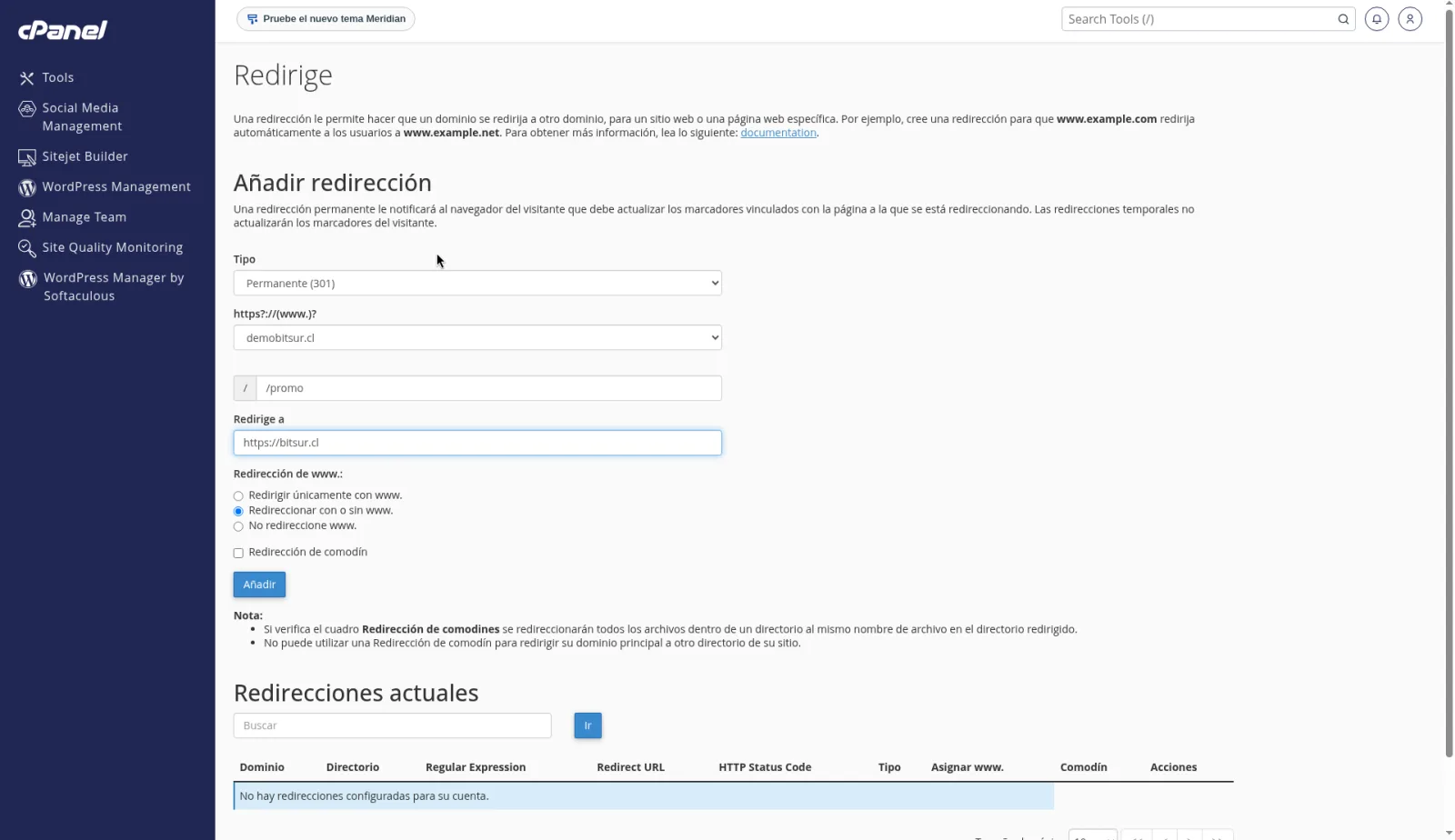 Formulario Añadir redirección con tipo Permanente (301), la ruta /promo y el destino https://bitsur.cl.